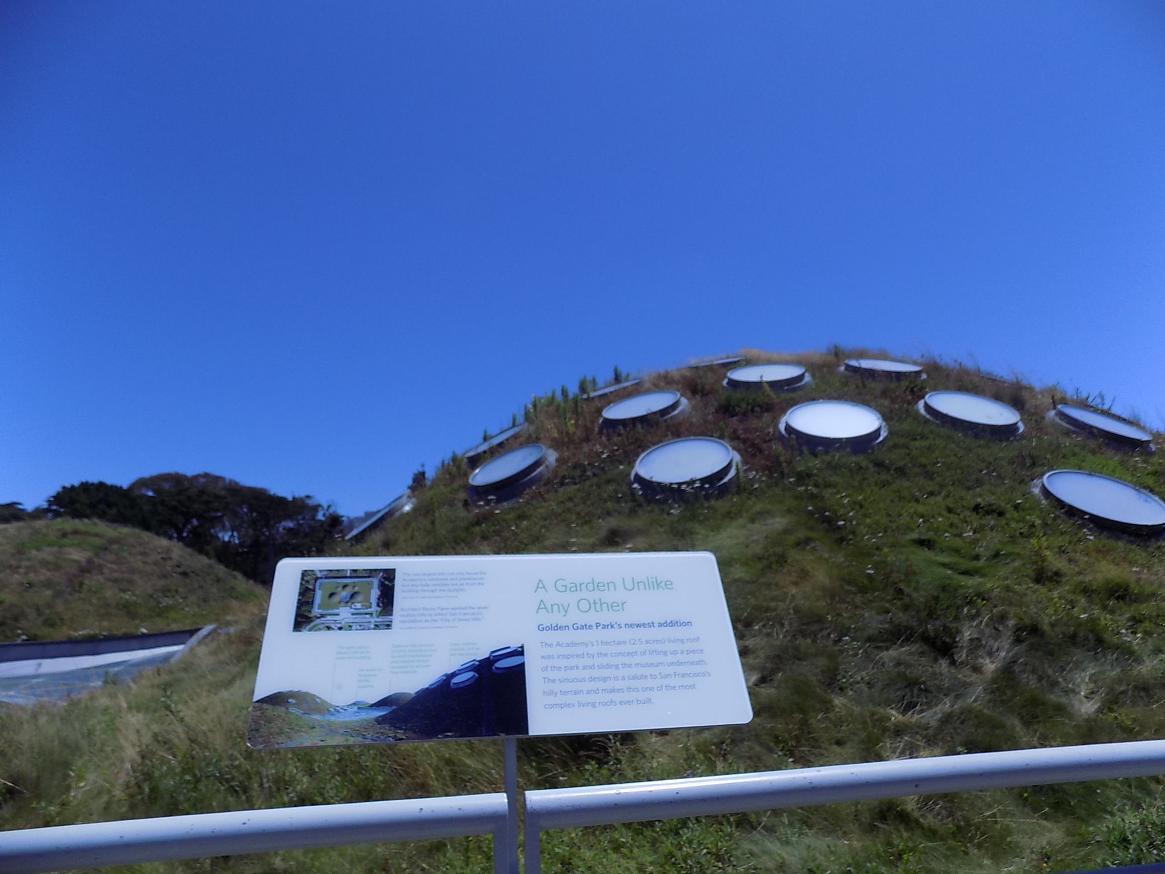 Rooftop of California Academy of Sciences