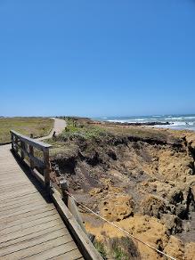 Walking Along Moonstone Beach Cambria