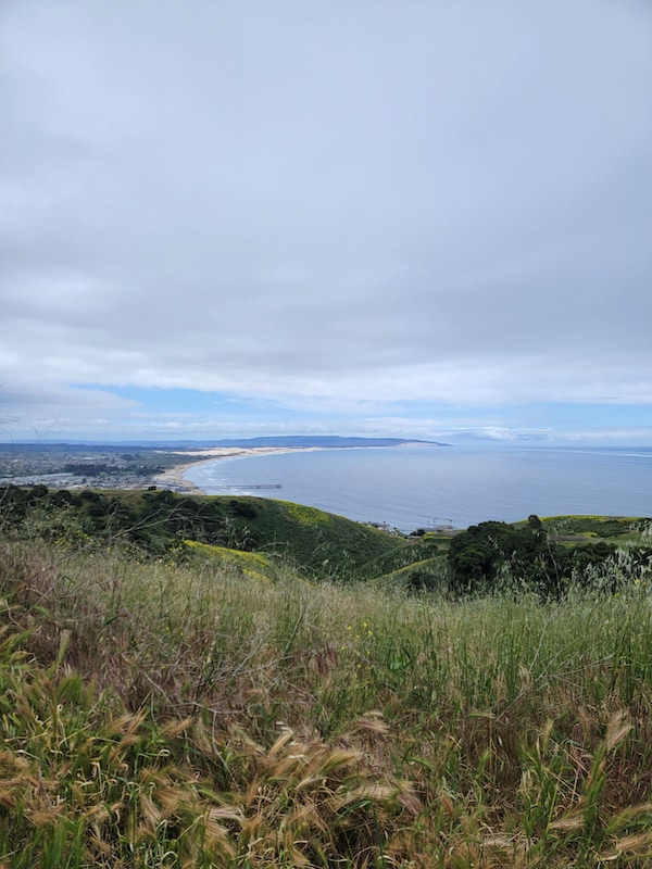 View of Ocean from Pismo Preserve