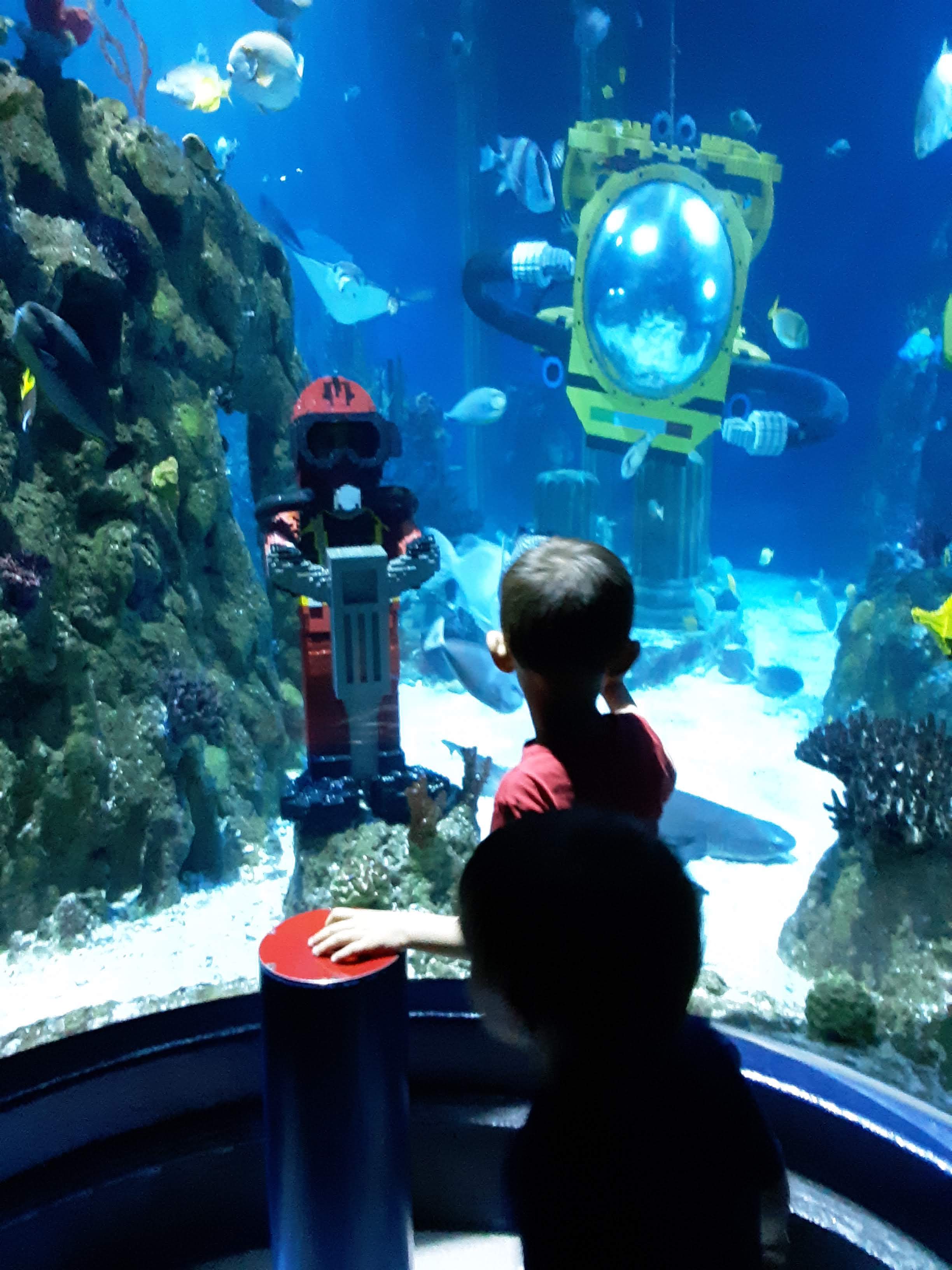 Sea Life Aquarium Review
