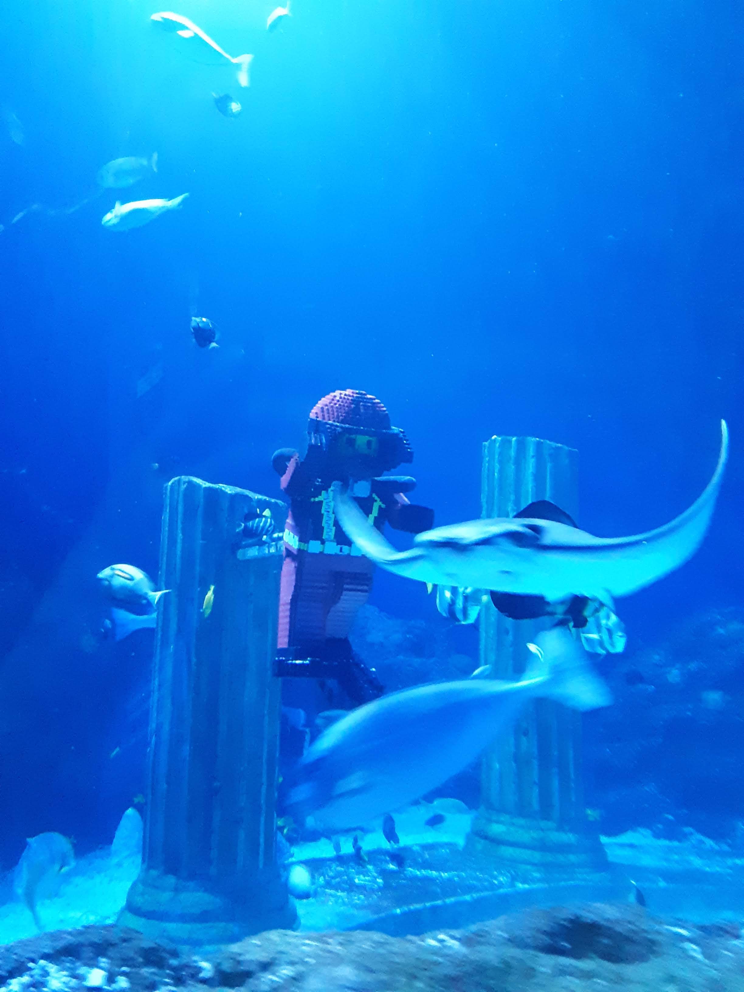 Legos at Sea Life Aquarium