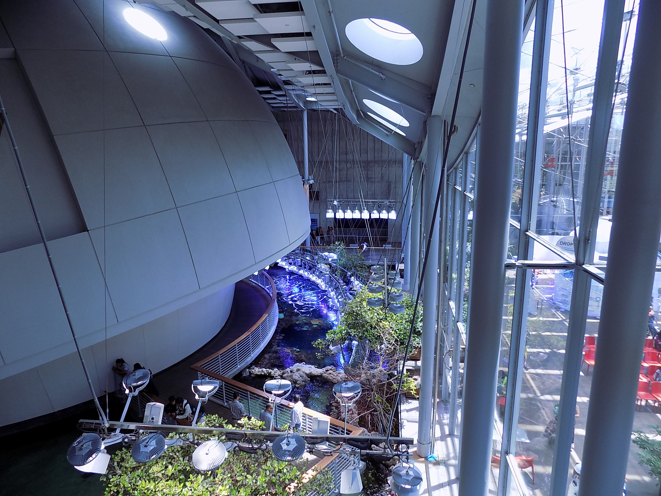 California Academy of Sciences Planetarium Picture