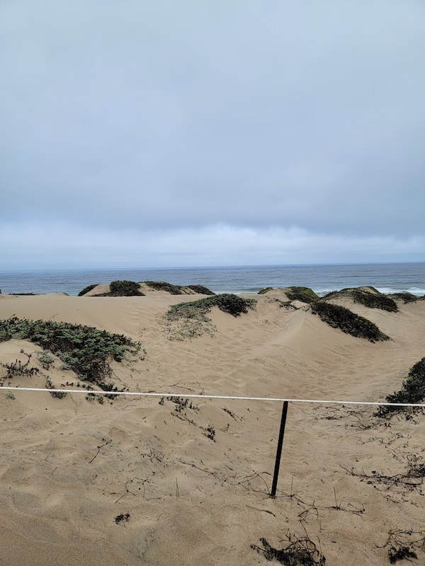 Ocean View from Oso Flaco Lake