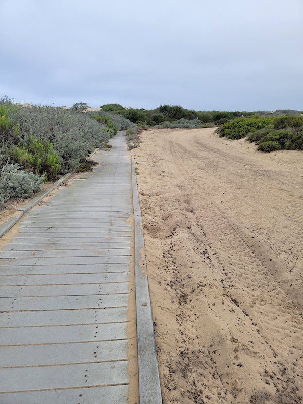 Oso Flaco Lake Deck Trail