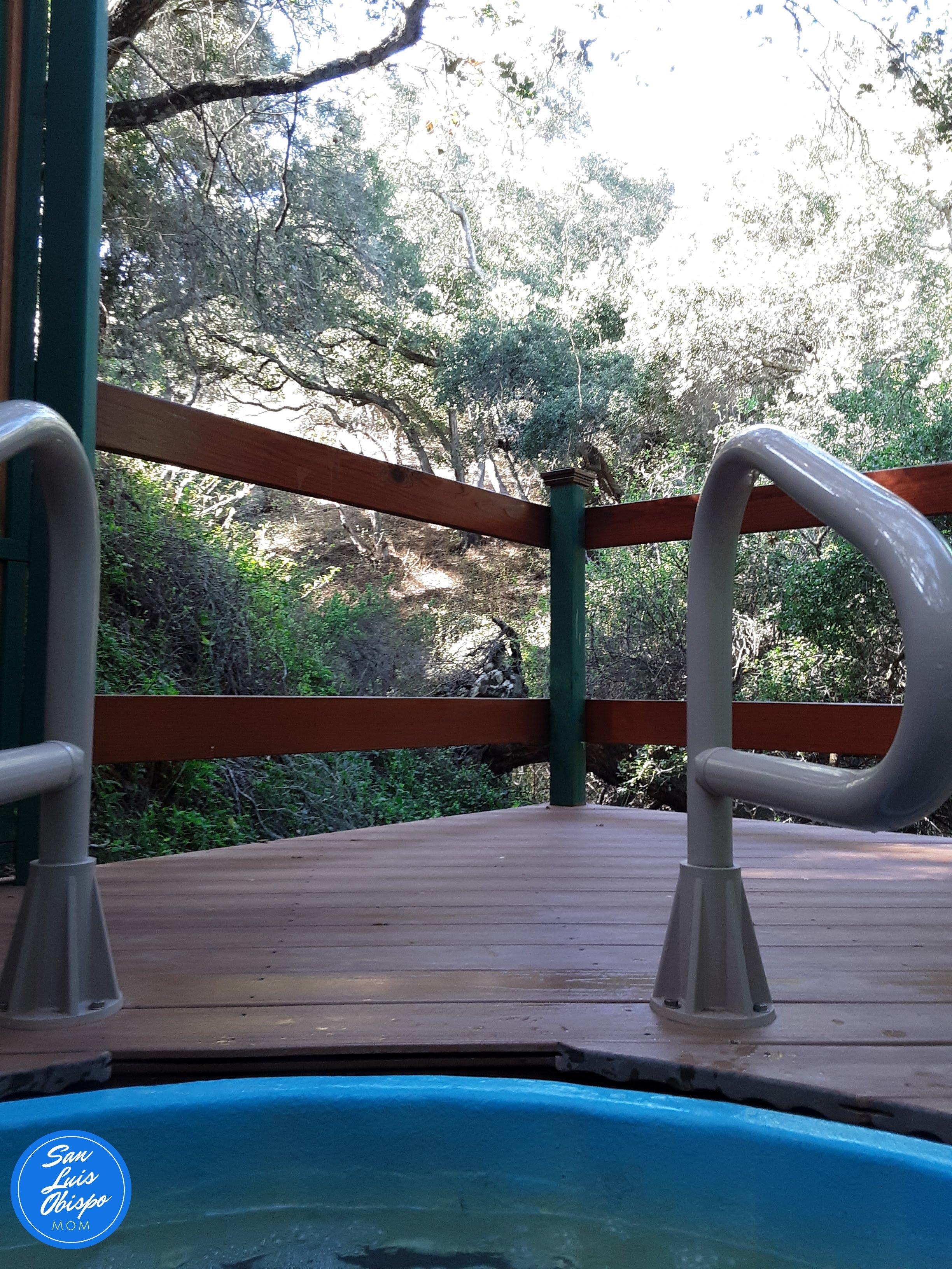 View of the woods and Sycamore trees at hillside hot tub