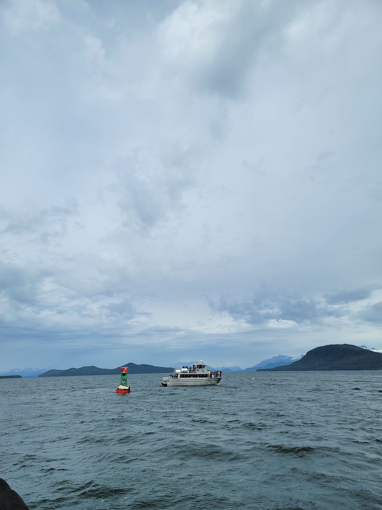 Whale Watching Excursion in Juneau