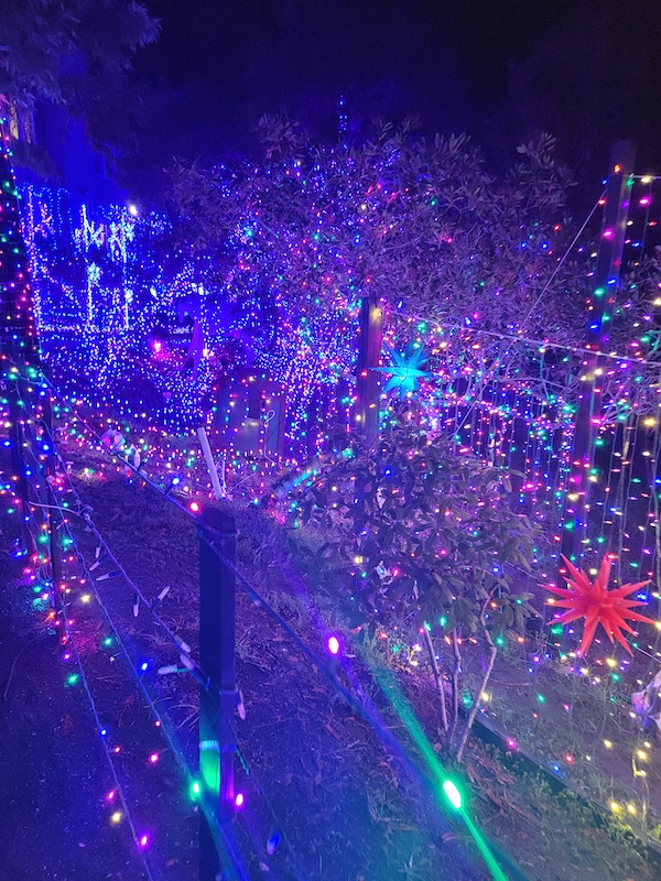 Christmas Market in Cambria Pictures