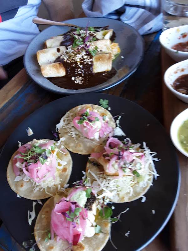 Fish Gaucho Reviews