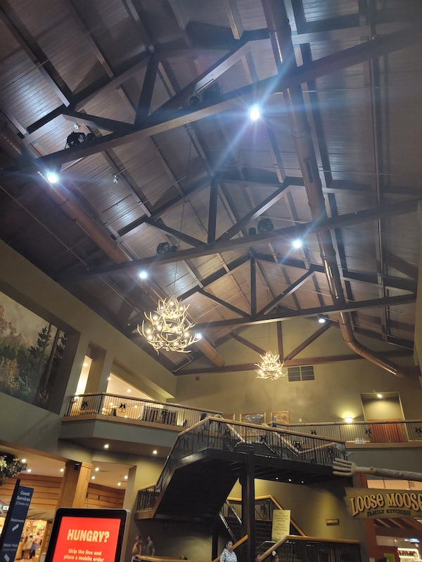 Great Wolf Lodge Anaheim Lobby