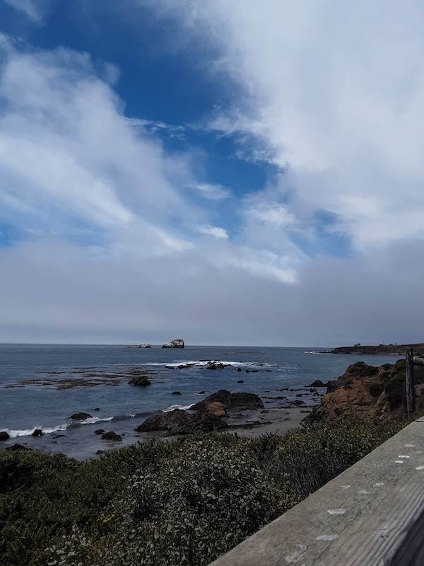 san simeon beach picture