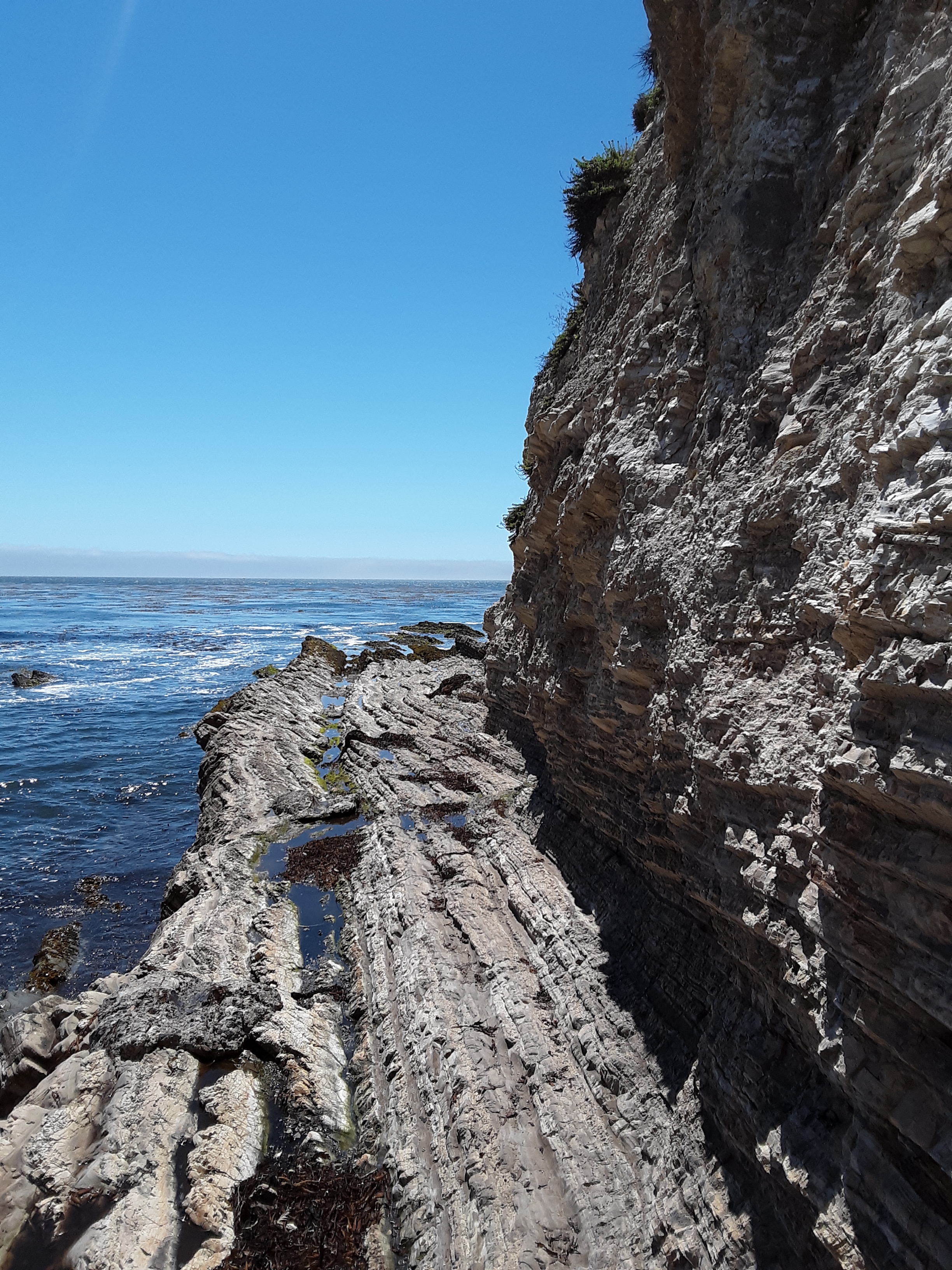 Spyglass Park in Shell Beach