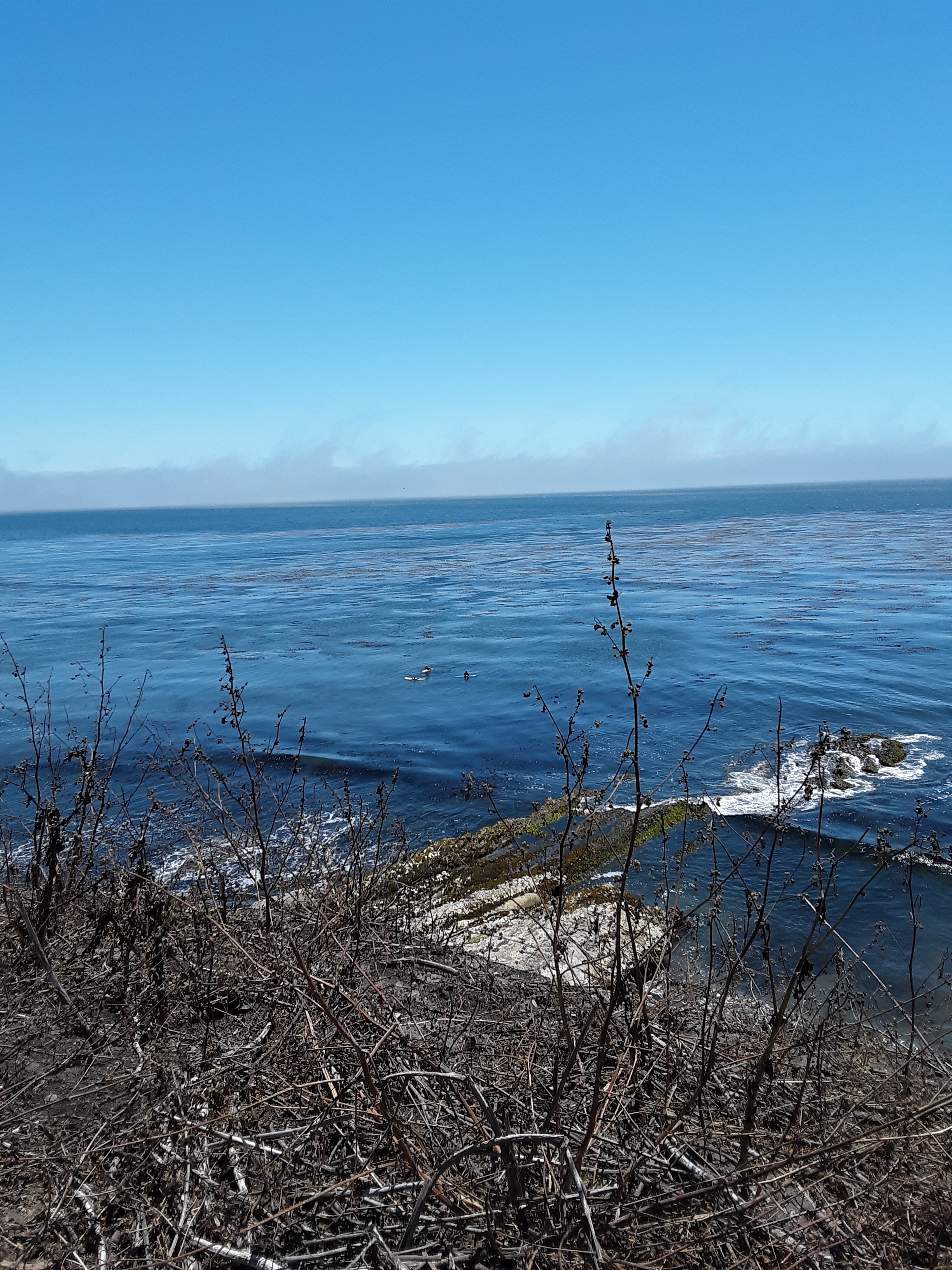 Bluffs in Shell Beach